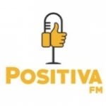 Rádio Positiva 100.3 FM