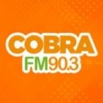 Rádio Cobra 90.3 FM