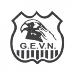 Rádio Interna do G. E. Vila Nova