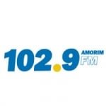 Rádio 102.9 Amorim FM