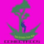 Rádio Quilombola Aracas Bahia