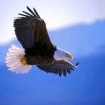 Web Rádio Jesus a Sua Libertação