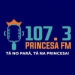 Rádio Princesa 107.3 FM
