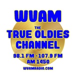 98.1 and 107.9 WVAM - WHNK