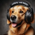 Jurema Web Rádio