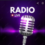 Rádio Pedroka
